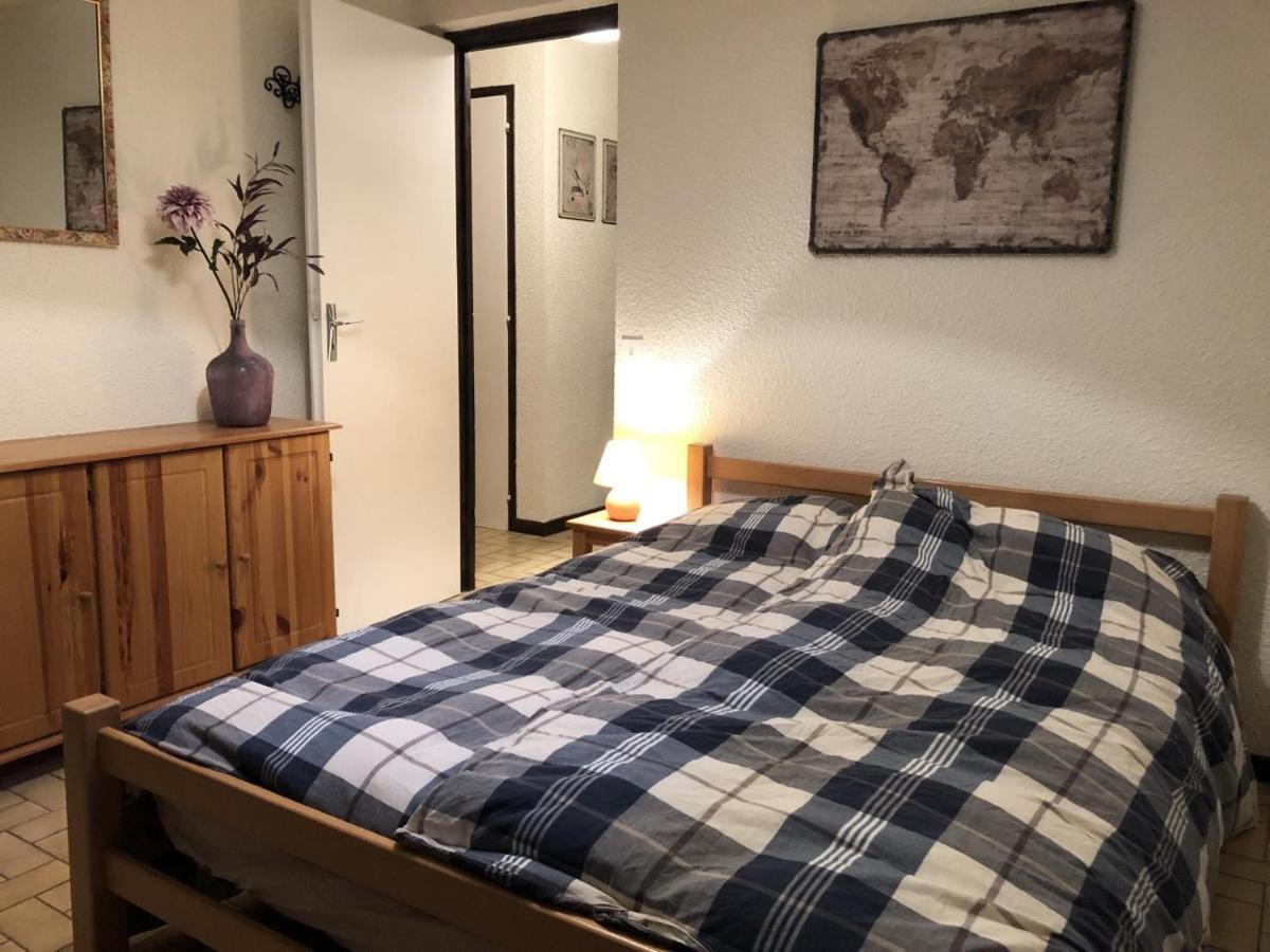 シャテルLe Hameau Des 4 Saisonsアパートメント エクステリア 写真